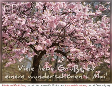 Coolphotos De Viele Liebe Grüße Zu Einem Wunderschönen 1 Mai