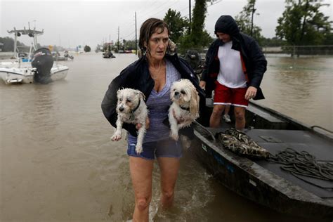 People Banding Together To Save Animals During Hurricane Harvey