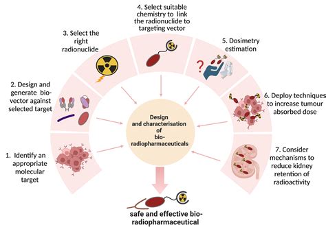 Pharmaceutics Free Full Text Optimizing The Safety And Efficacy Of Bio Radiopharmaceuticals