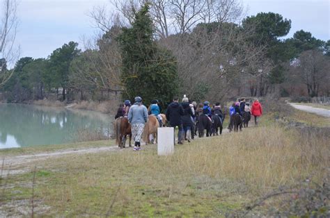 Ludon Médoc Des Mesures Pour Que La Gravière De Paloumey Devienne Un Site Mieux Protégé