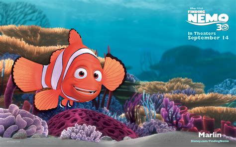 marlin finding nemo clownfish fish  finding nemo hd