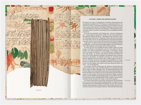 Das Voynich Manuskript Calbert