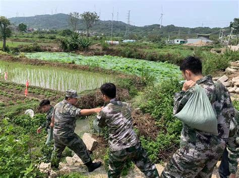 强化防汛备战 构筑安全屏障——所城镇组织开展防汛救灾应急演练 潮州市饶平县人民政府网站