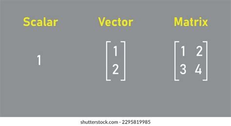 Scalars Vectors Matrices Linear Algebra Mathematics Stock Vector