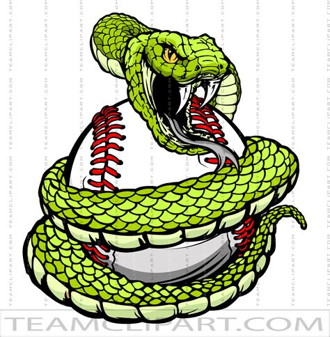 Vipers Baseball Logo Quality Clipart Images Ai  Eps Png