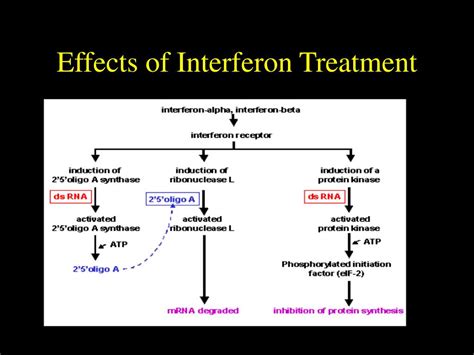 PPT - Pharmacology of Interferon PowerPoint Presentation, free download ...