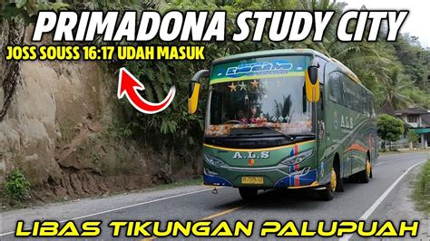 ALS 253 PRIMADONA STUDY CITY LIBAS LINTAS EXTREME PALUPUAH