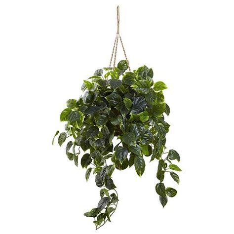 nearly natural Pothos Hanging Plant