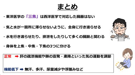 鍼灸学生さん集まれ東洋医学がこれであなたも分かる第23回三焦の役割について りょうじのブログ Cmon