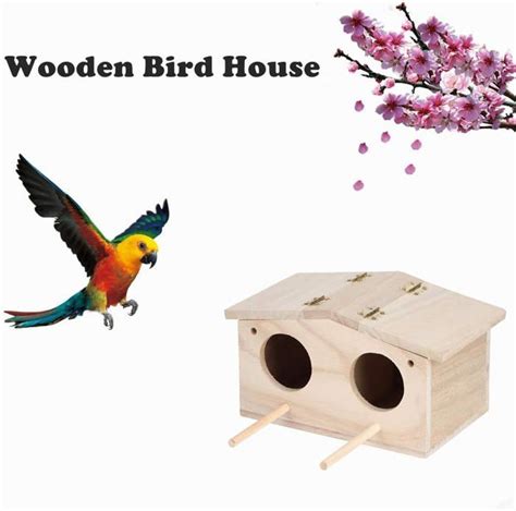 Maison Doiseau Nid Doiseau Durable En Bois Pour Animaux De Compagnie