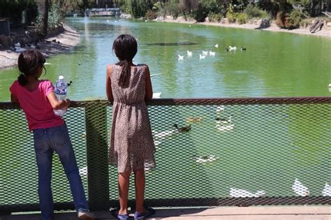 Ya Reabrieron El Parque Morelos Y El De La Amistad En Tijuana