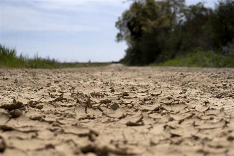 Muere Un Agricultor En Ciudad Real Tras Sufrir Un Golpe De Calor