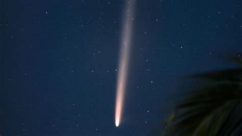 Cometa do século pode ser visto até esta semana no Brasil