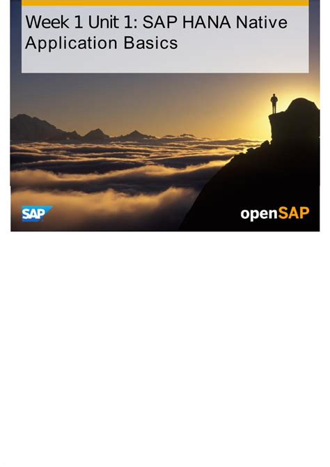 PDF OpenSAP HANA1 Week 01 Developing Applications For SAP HANA