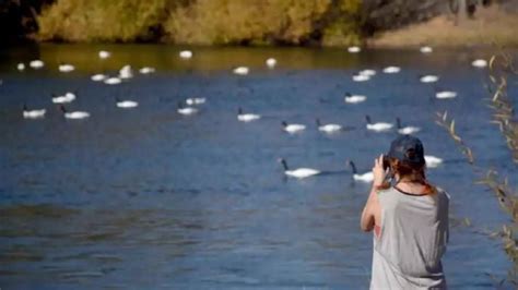 Mirador de los Cisnes el nuevo espacio que tendrá el Paseo Costero