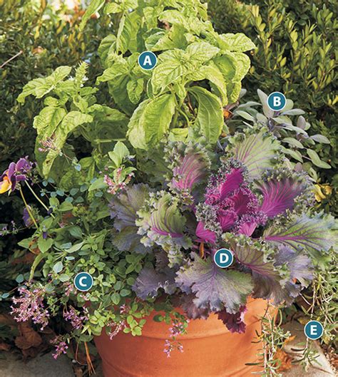 Ideas For Growing Herbs In Pots Garden Gate