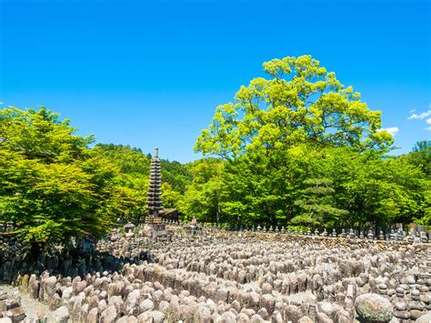 貸切観光タクシー 嵐山・嵯峨野のおすすめコースを巡るプラン＜8時間／大津市内発／京都市内着／京都市内発オプションあり／1～9名＞by 滋賀