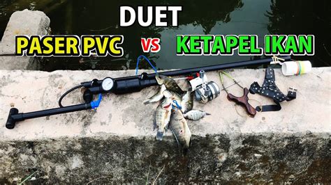 Test Paser Ikan Paralon Dan Ketapel Ikan Youtube