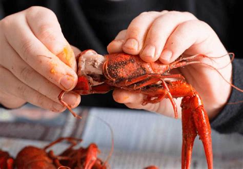 What Does Crawfish Taste Like 5 Best Dishes From