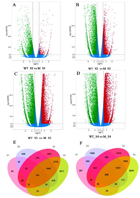 Volcano Plots And Venn Diagrams Of Degs A D Degs Between The Wt And