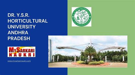 Dr Y S R Horticultural University Andhra Pradesh Recruitment