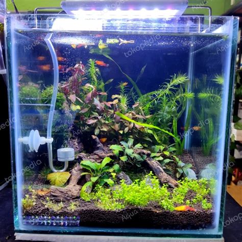 Jual Aquascape Full Set 25x25x25cm Natural Premium Plus Hang On Filter