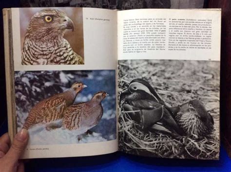 Gran Enciclopedia Ilustrada De Las Aves J Hanzak Fotos Cuotas