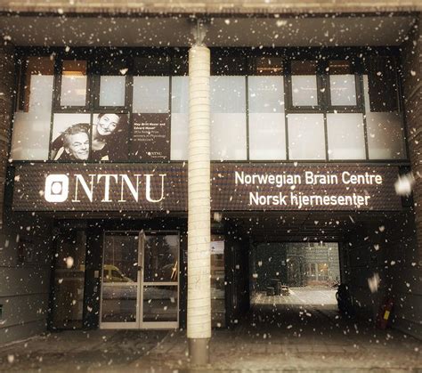 Norbrain Kavli Institute For Systems Neuroscience Ntnu