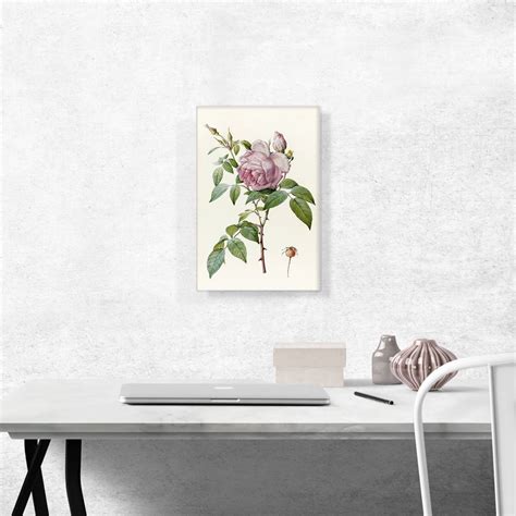 ARTCANVAS Indica Fragrans Rose Canvas Art Print By Pierre Joseph