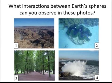 Solved What interactions between Earth's spheres can you | Chegg.com