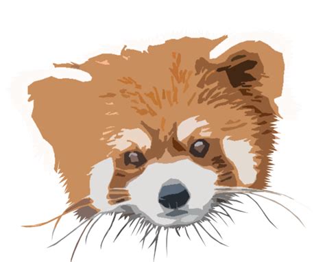 Download Red Panda Bear Panda Royalty Free Stock Illustration Image