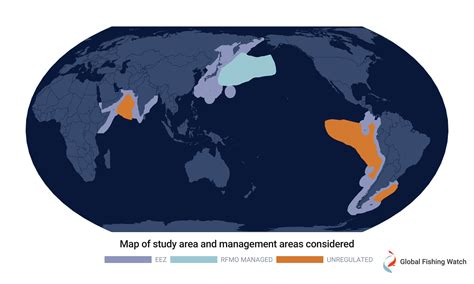 Where Is Your Squid Coming From Most Likely Unregulated Waters