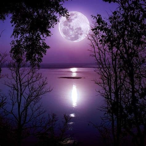 Lavender Moon Moon Photography Beautiful Moon Moon Art