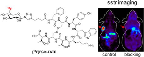 Bioconjugate Chemistry Vol 27 No 11