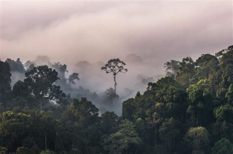 Kaeng Krachan National Park - Thailand Bloggers