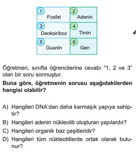 8 Sınıf Dna Ve Genetik Kod Test Çöz Lgs Çözümlü Sorular Ve Testler