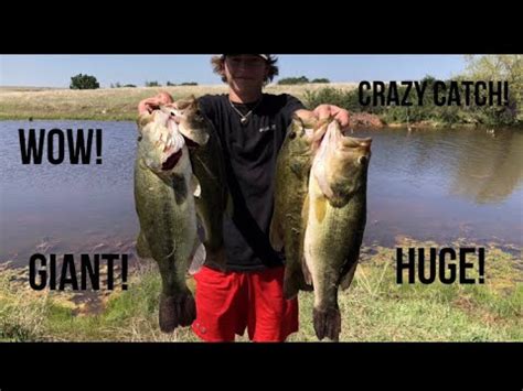 Catching MASSIVE Bass W Topwater FROGS Bed Fishing YouTube