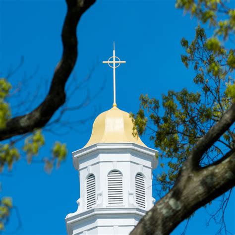 Schools | Molloy University