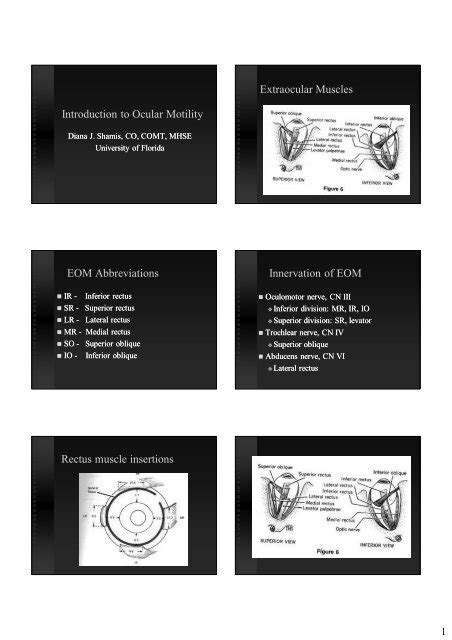 Introduction to Ocular Motility Extraocular Muscles EOM ...