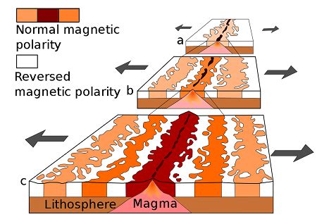 Seafloor Spreading Evidence Examples And Explanations | Viewfloor.co