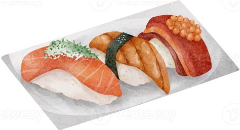 Watercolor Japanese Food Sushi 36913996 Png