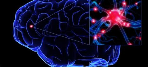 Terapia Genica Per Trattare Malattie Neurodegenerative Medimagazine