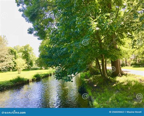 Trees Along The River Bank Stock Image Image Of Garden 256020663