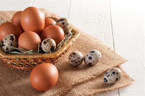 Quail Chicken Eggs