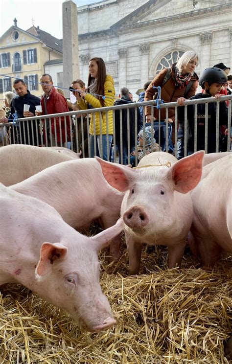 Sortir en Haute Savoie Annecy la Fête du Caïon fait le plein