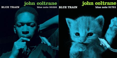 Famous Album Covers Recreated as Cat Photos | PetaPixel