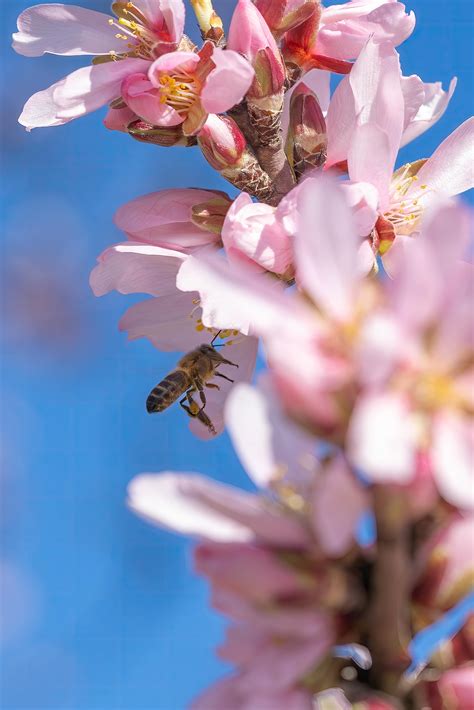 Know Your Bottom Line Photos, Download The BEST Free Know Your Bottom