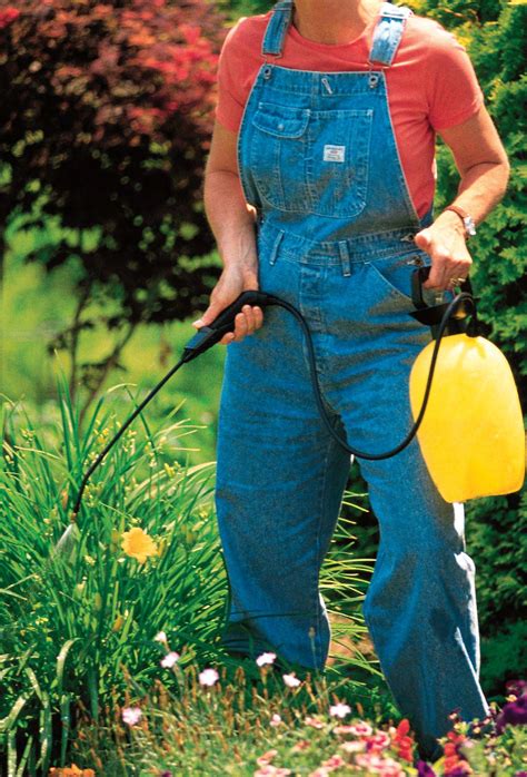 EARTH-FRIENDLY WEED KILLERS | Family Handyman - home - Read this story