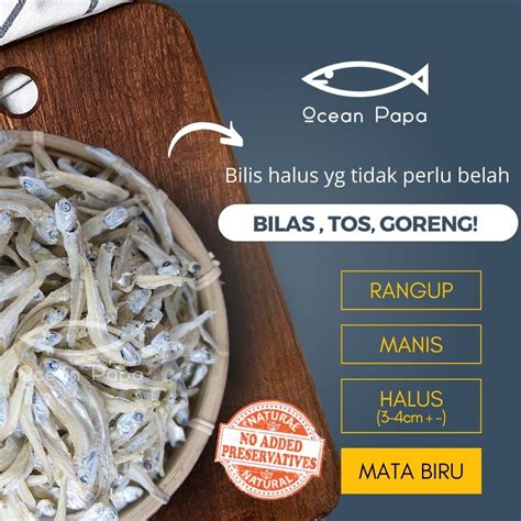 Ocean Papa Ikan Bilis Mata Biru Saiz S Gred Aaa A Belum Kopek Rangup