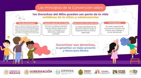 Principios de la Convención sobre los Derechos del Niño SaludVeracruz